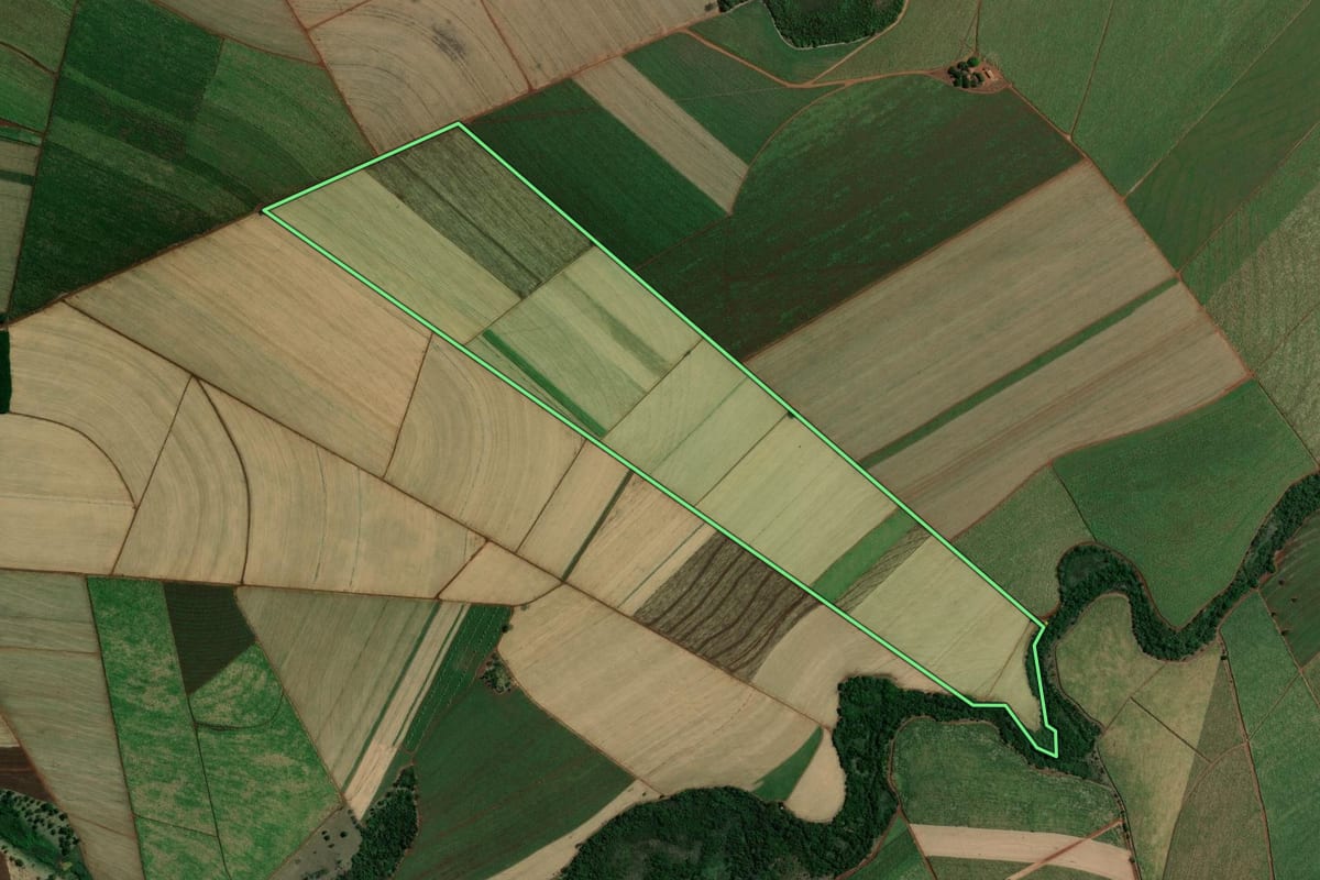 Imagem de satélite do imóvel rural em Jaborandi (SP), com o contorno declarado no CAR desenhado por cima.