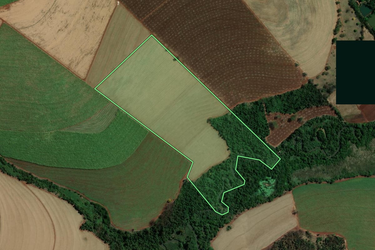 Imagem de satélite do imóvel rural em Jaborandi (SP), com o contorno declarado no CAR desenhado por cima.