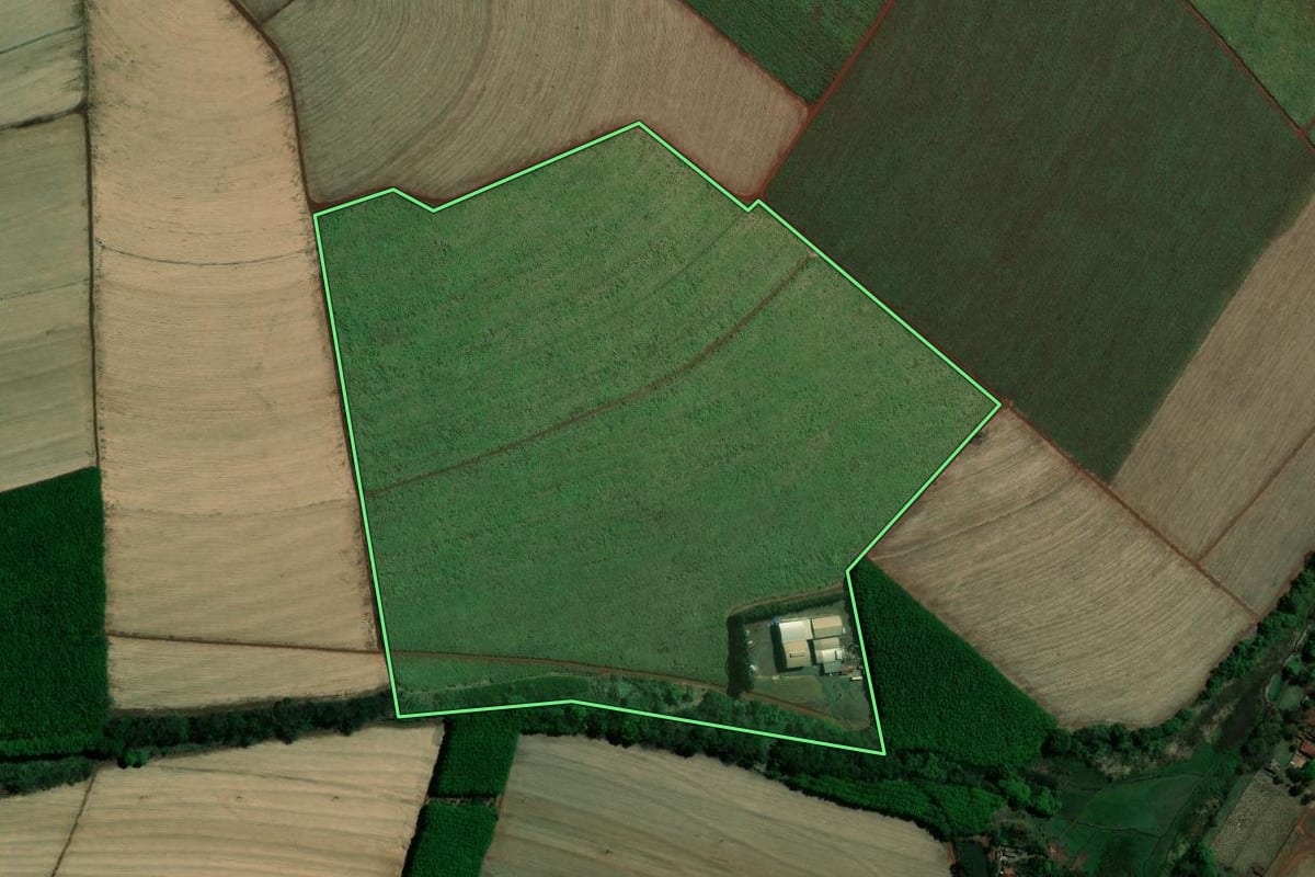 Imagem de satélite do imóvel rural em Jaborandi (SP), com o contorno declarado no CAR desenhado por cima.