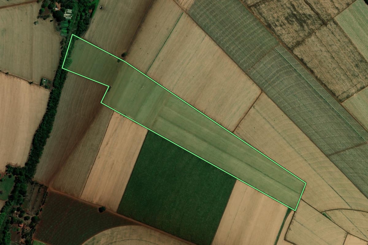 Imagem de satélite do imóvel rural em Jaborandi (SP), com o contorno declarado no CAR desenhado por cima.