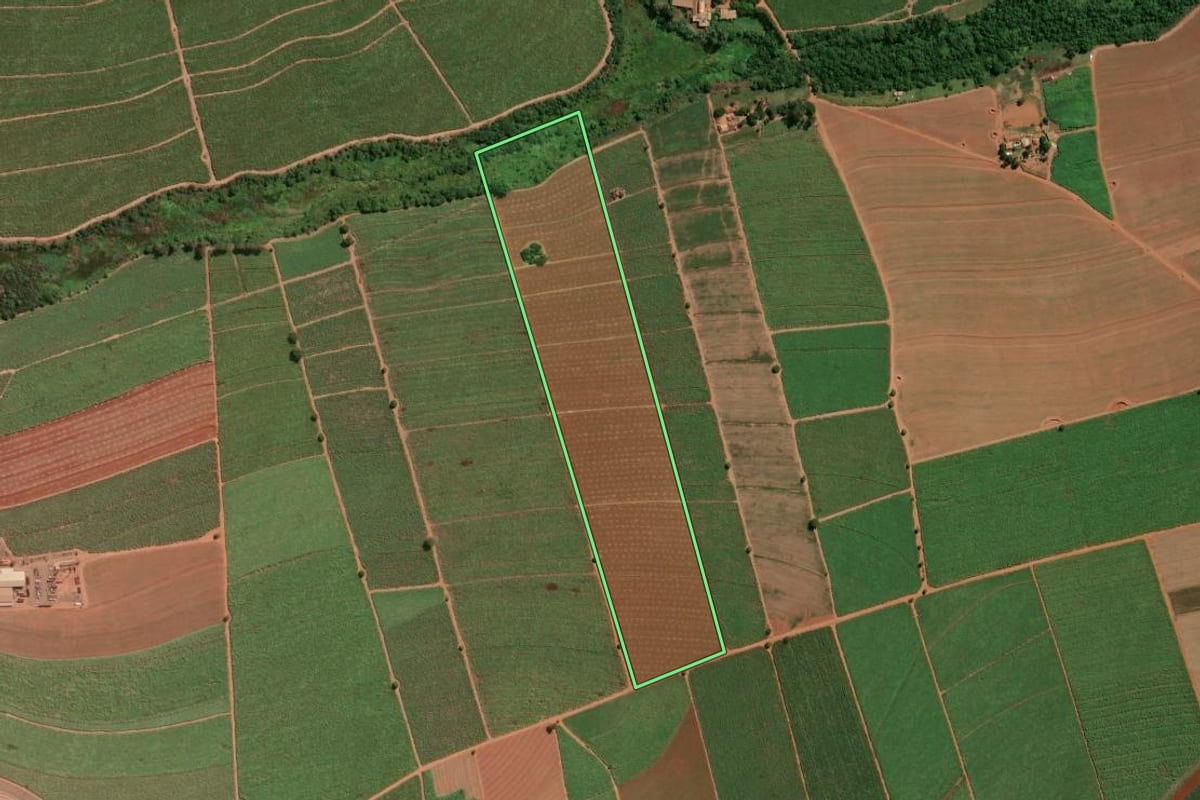 Imagem de satélite do imóvel rural em Jaboticabal (SP), com o contorno declarado no CAR desenhado por cima.