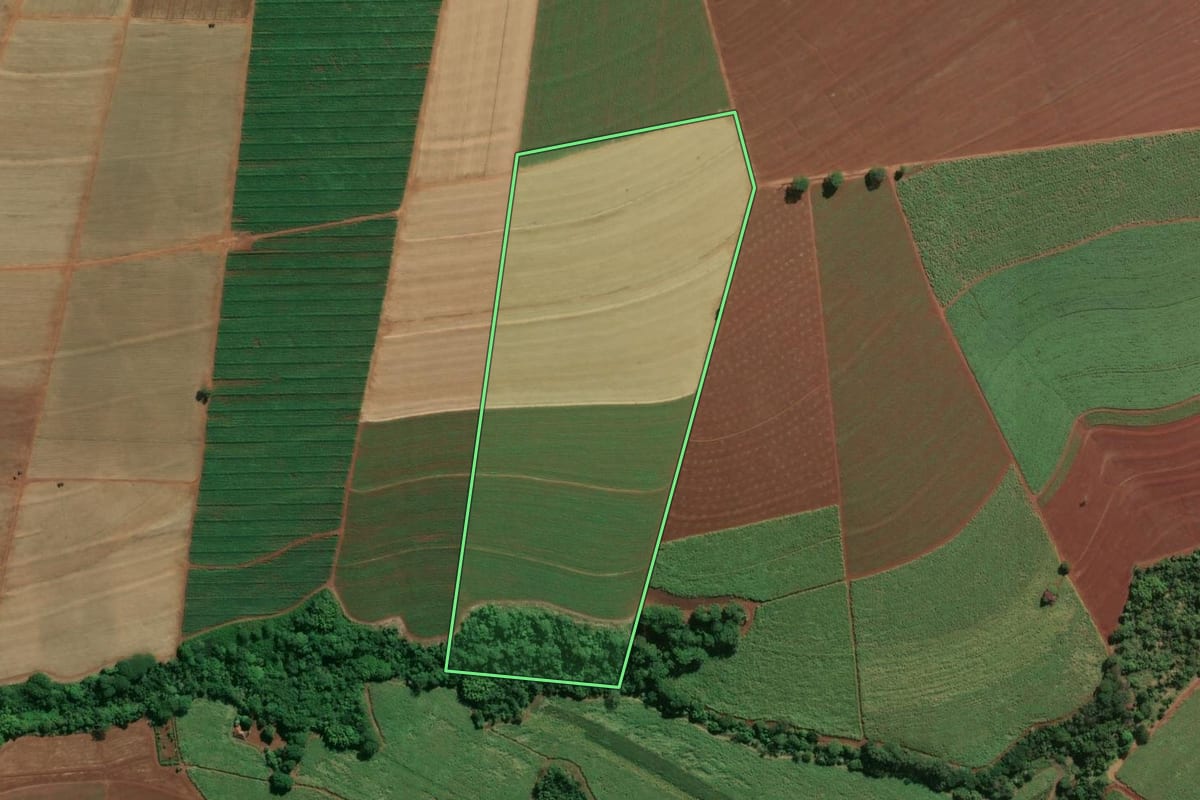 Imagem de satélite do imóvel rural em Jaboticabal (SP), com o contorno declarado no CAR desenhado por cima.