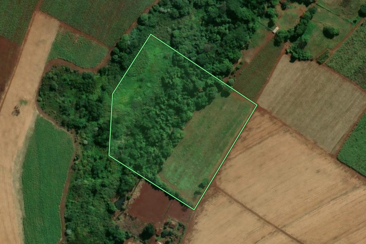 Imagem de satélite do imóvel rural em Jaboticabal (SP), com o contorno declarado no CAR desenhado por cima.