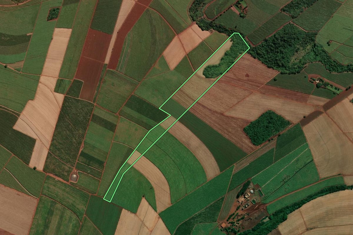 Imagem de satélite do imóvel rural em Jaboticabal (SP), com o contorno declarado no CAR desenhado por cima.