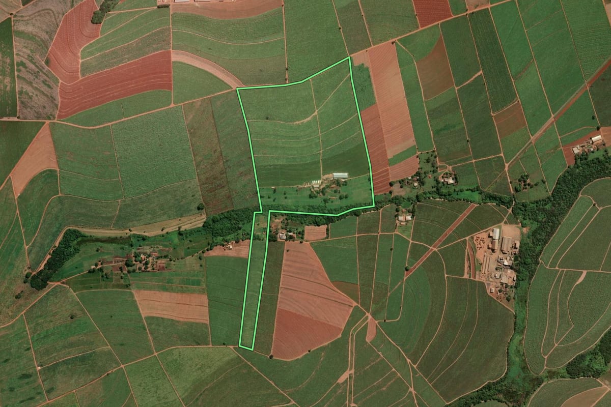 Imagem de satélite do imóvel rural em Jaboticabal (SP), com o contorno declarado no CAR desenhado por cima.