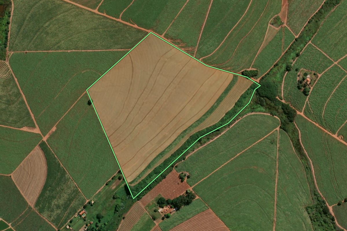Imagem de satélite do imóvel rural em Jaboticabal (SP), com o contorno declarado no CAR desenhado por cima.