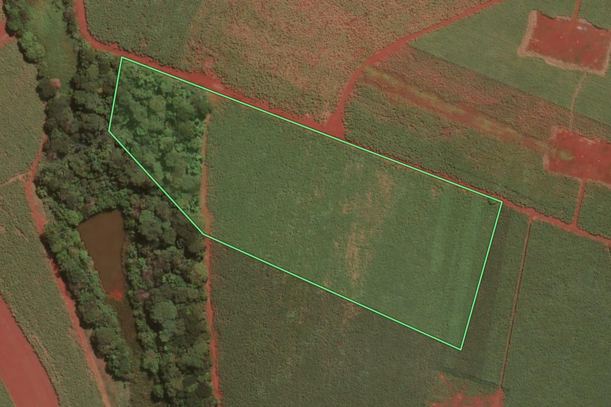 Imagem de satélite do imóvel rural em Jaboticabal (SP), com o contorno declarado no CAR desenhado por cima.