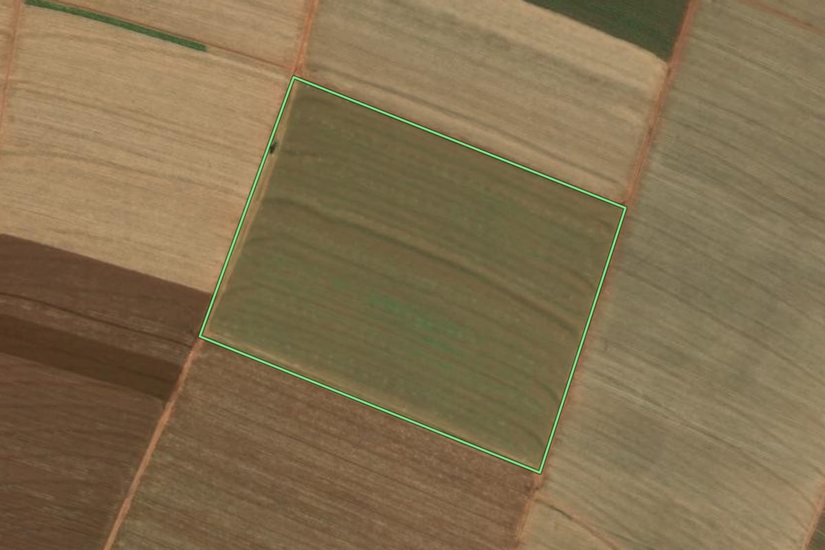 Imagem de satélite do imóvel rural em Jaboticabal (SP), com o contorno declarado no CAR desenhado por cima.