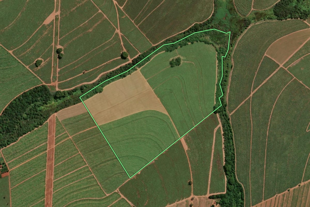 Imagem de satélite do imóvel rural em Jaboticabal (SP), com o contorno declarado no CAR desenhado por cima.