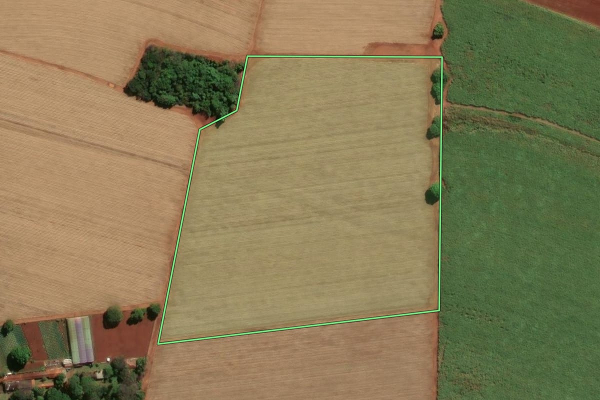 Imagem de satélite do imóvel rural em Jaboticabal (SP), com o contorno declarado no CAR desenhado por cima.