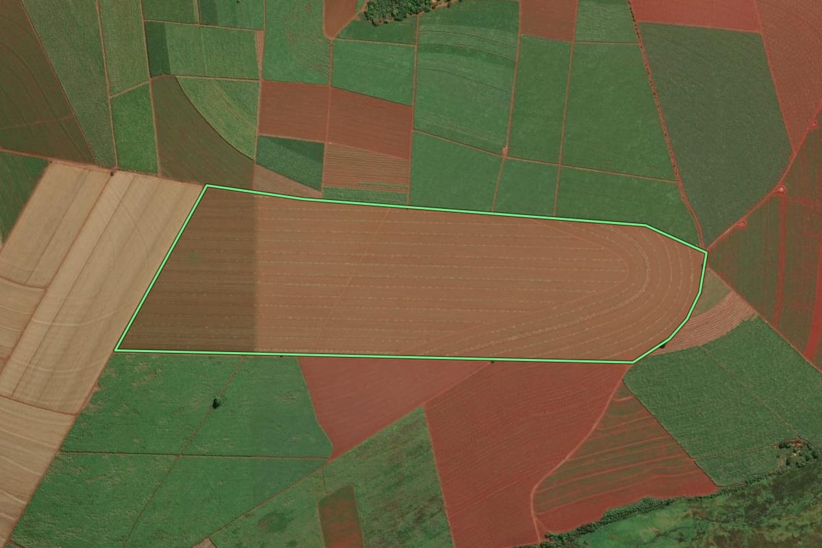 Imagem de satélite do imóvel rural em Jaboticabal (SP), com o contorno declarado no CAR desenhado por cima.