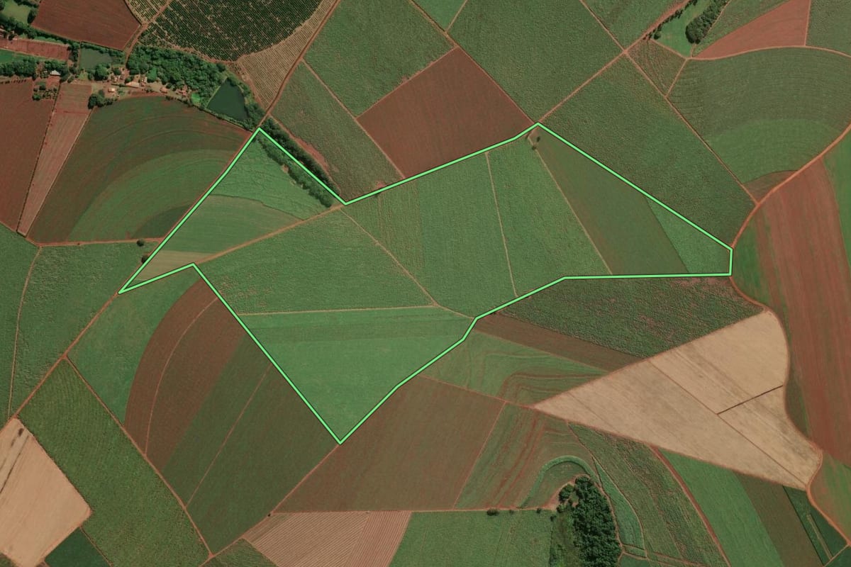 Imagem de satélite do imóvel rural em Jaboticabal (SP), com o contorno declarado no CAR desenhado por cima.