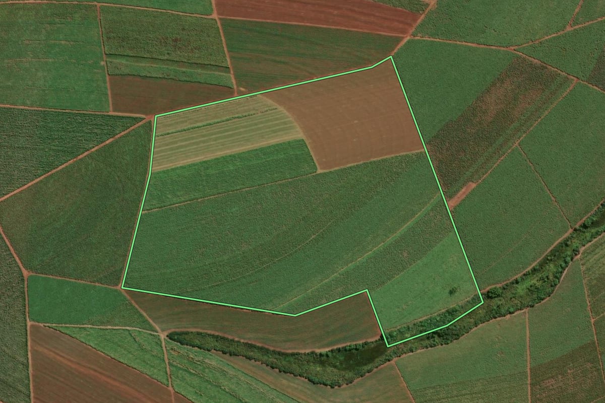 Imagem de satélite do imóvel rural em Jaboticabal (SP), com o contorno declarado no CAR desenhado por cima.
