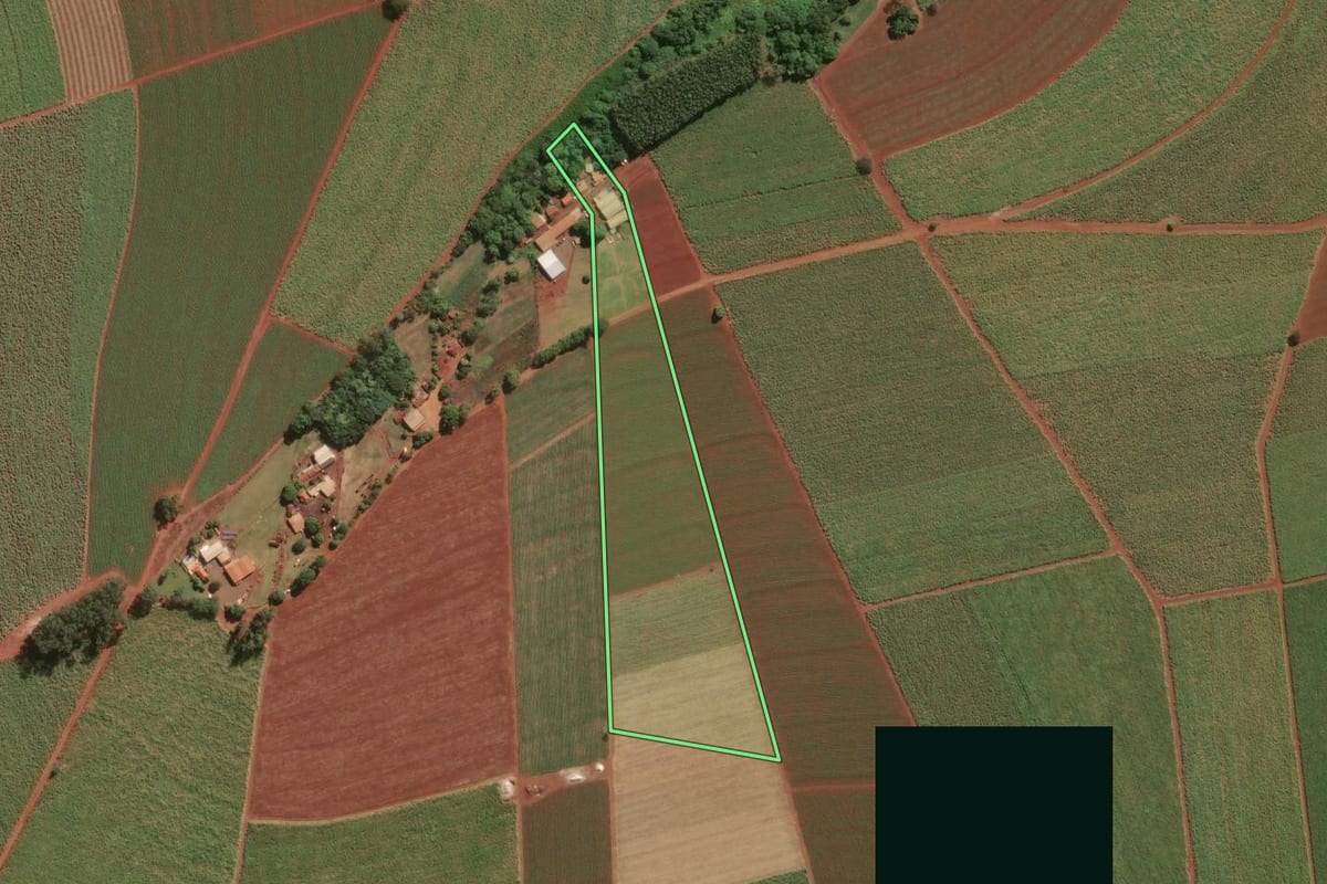 Imagem de satélite do imóvel rural em Jaboticabal (SP), com o contorno declarado no CAR desenhado por cima.