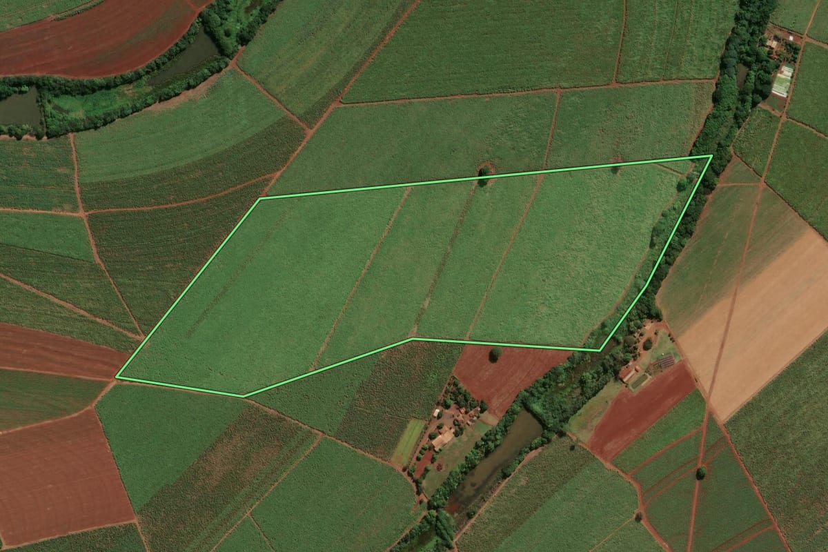 Imagem de satélite do imóvel rural em Jaboticabal (SP), com o contorno declarado no CAR desenhado por cima.