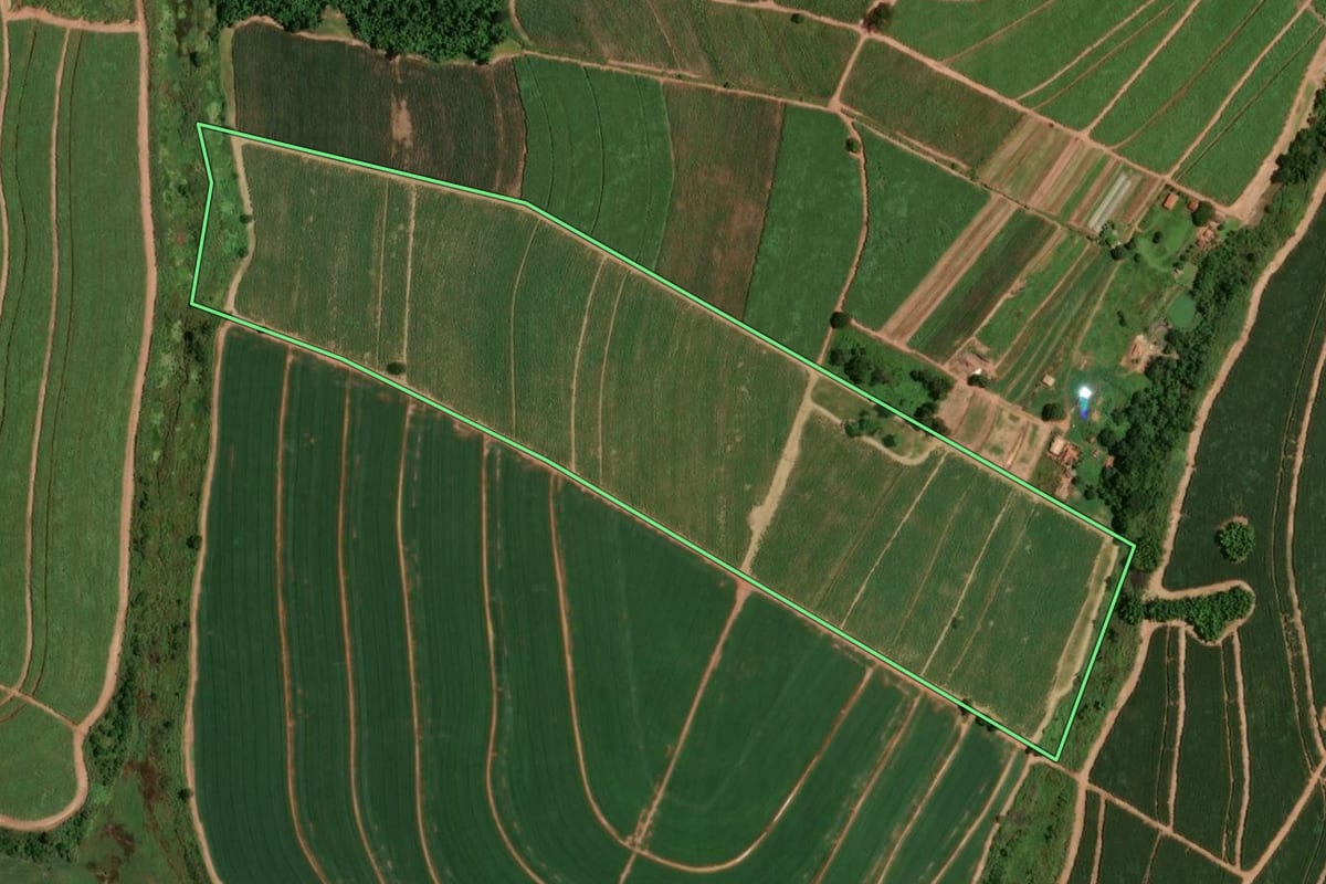 Imagem de satélite do imóvel rural em Jaboticabal (SP), com o contorno declarado no CAR desenhado por cima.