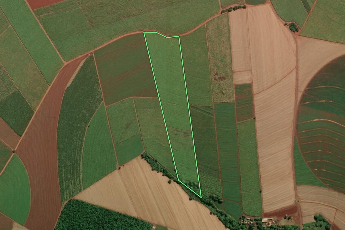Imagem de satélite do imóvel rural em Jaboticabal (SP), com o contorno declarado no CAR desenhado por cima.