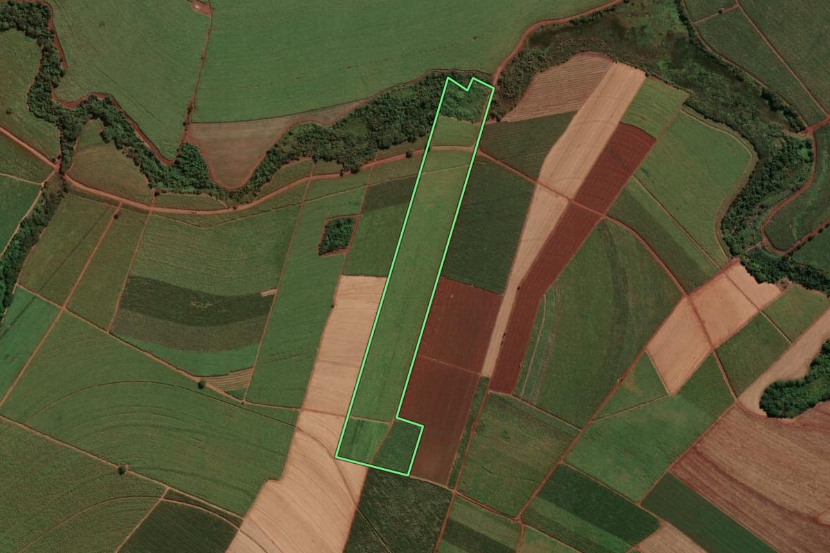 Imagem de satélite do imóvel rural em Jaboticabal (SP), com o contorno declarado no CAR desenhado por cima.