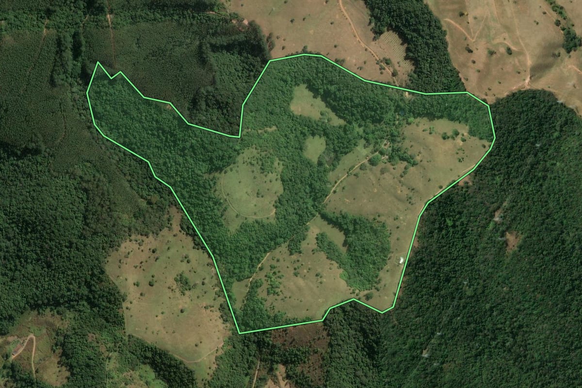 Imagem de satélite do imóvel rural em Jacareí (SP), com o contorno declarado no CAR desenhado por cima.