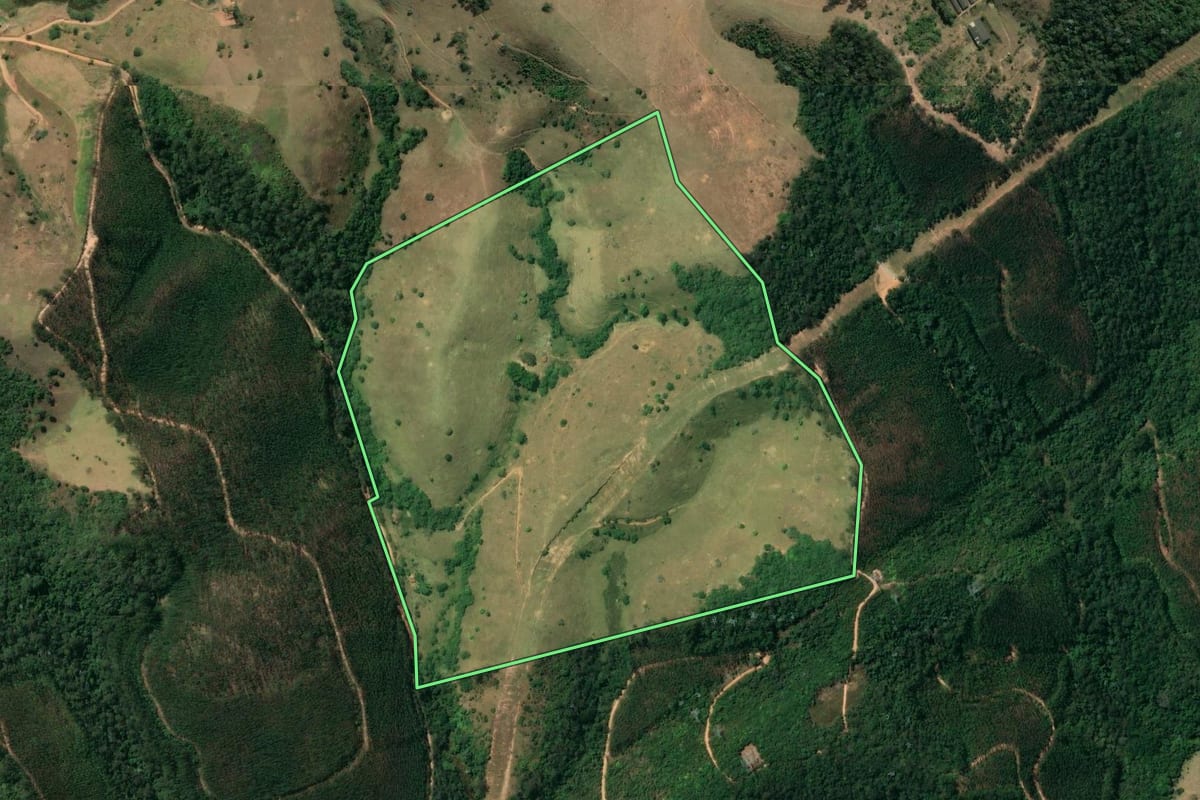 Imagem de satélite do imóvel rural em Jacareí (SP), com o contorno declarado no CAR desenhado por cima.