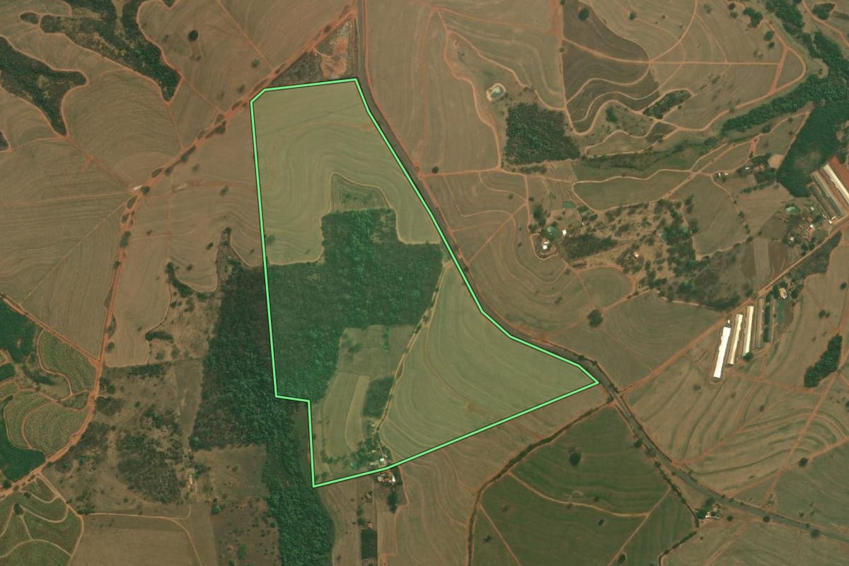 Imagem de satélite do imóvel rural em Jaci (SP), com o contorno declarado no CAR desenhado por cima.