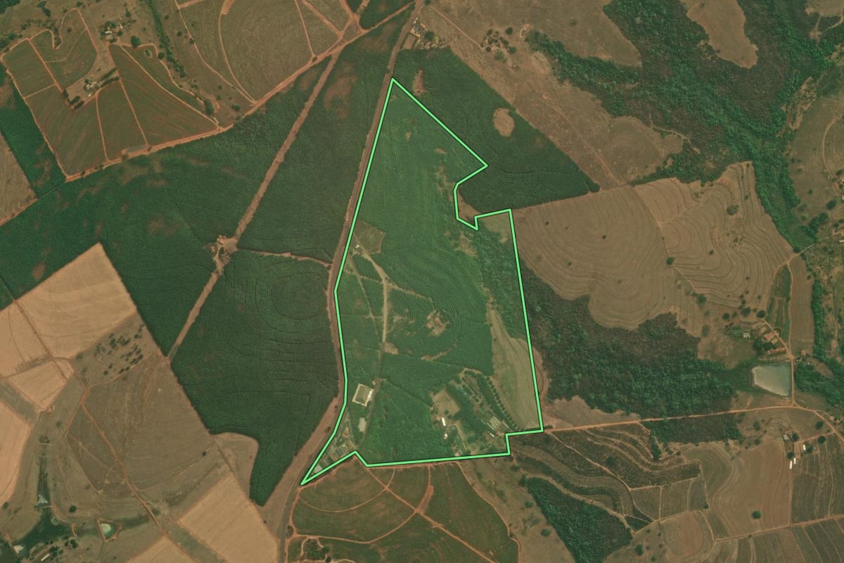 Imagem de satélite do imóvel rural em Jaci (SP), com o contorno declarado no CAR desenhado por cima.