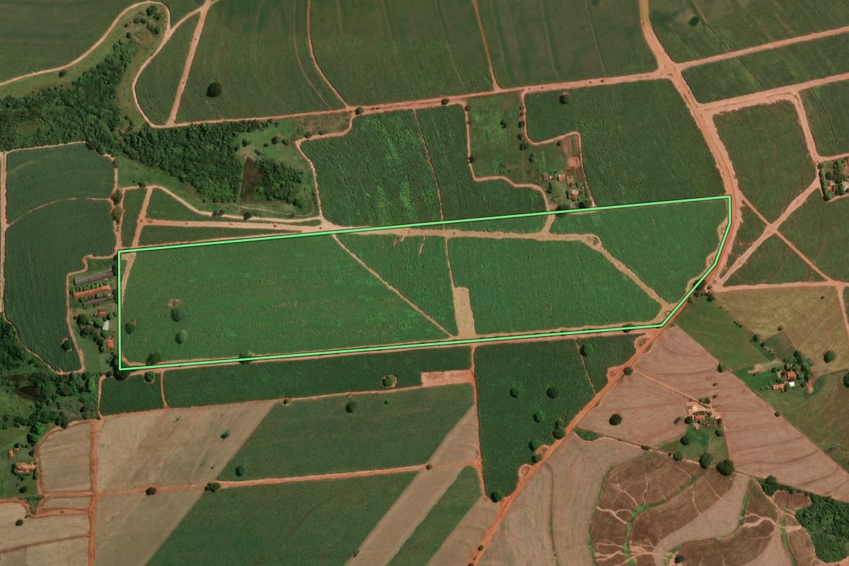 Imagem de satélite do imóvel rural em Jaci (SP), com o contorno declarado no CAR desenhado por cima.