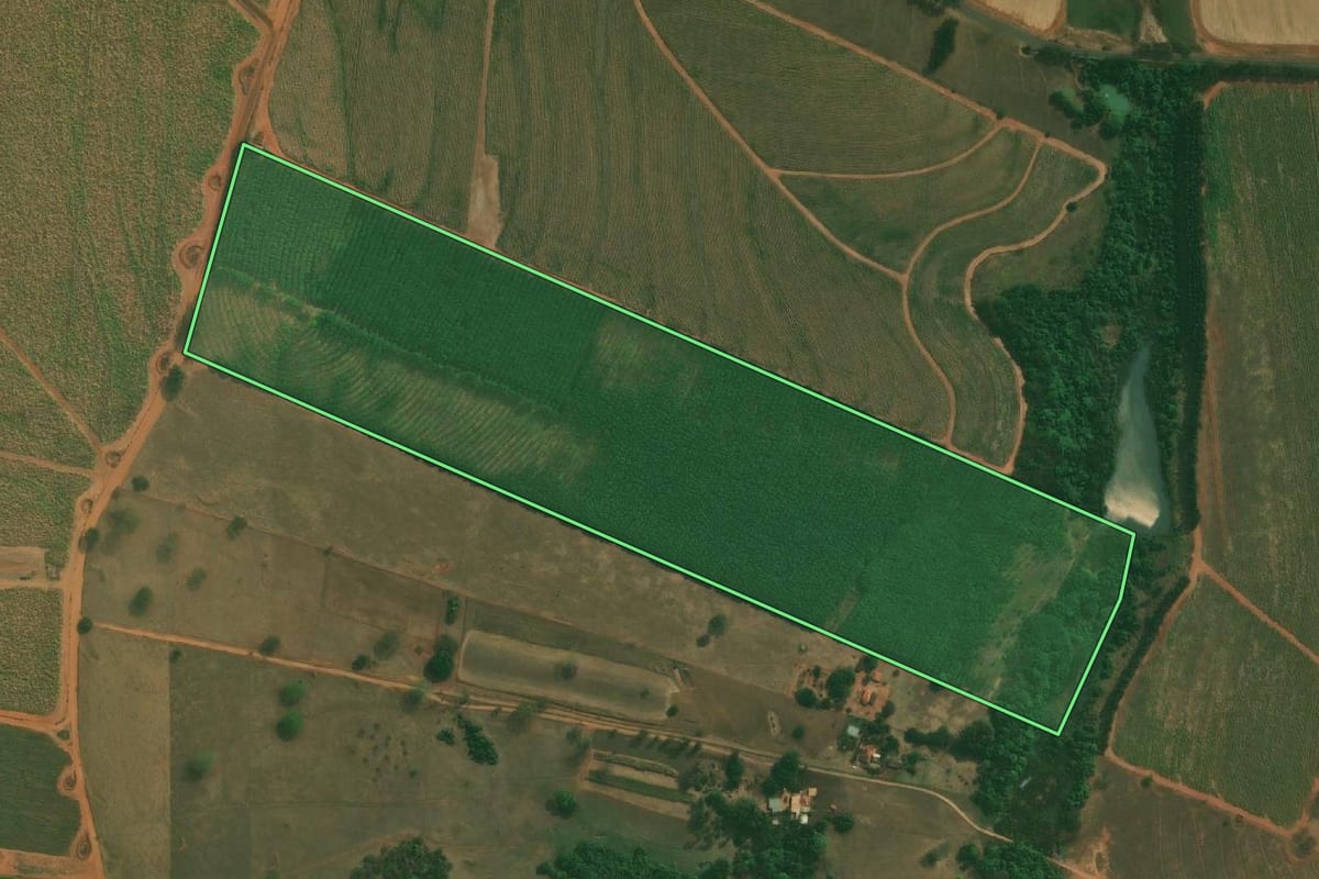 Imagem de satélite do imóvel rural em Jaci (SP), com o contorno declarado no CAR desenhado por cima.