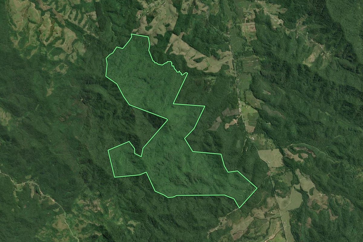 Imagem de satélite do imóvel rural em Jacupiranga (SP), com o contorno declarado no CAR desenhado por cima.
