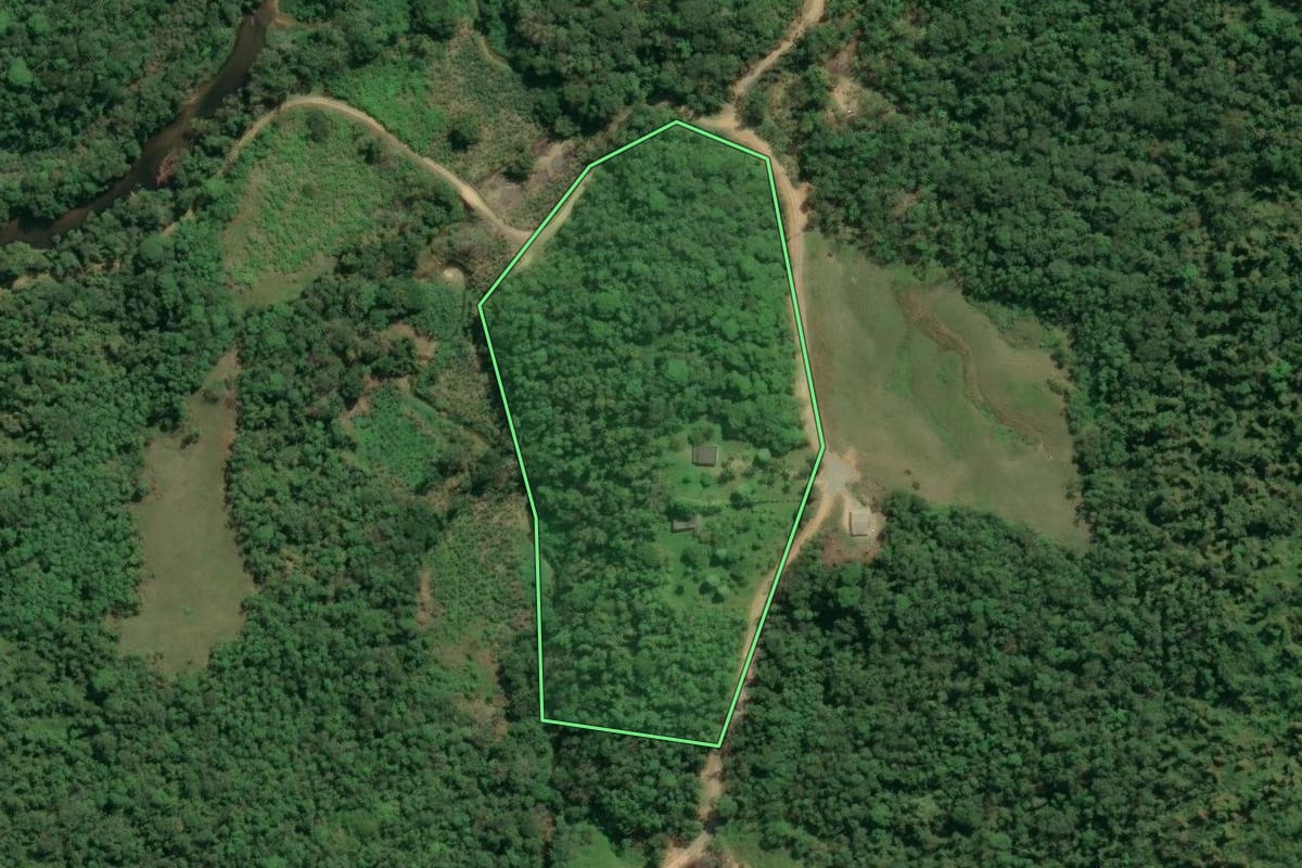 Imagem de satélite do imóvel rural em Jacupiranga (SP), com o contorno declarado no CAR desenhado por cima.