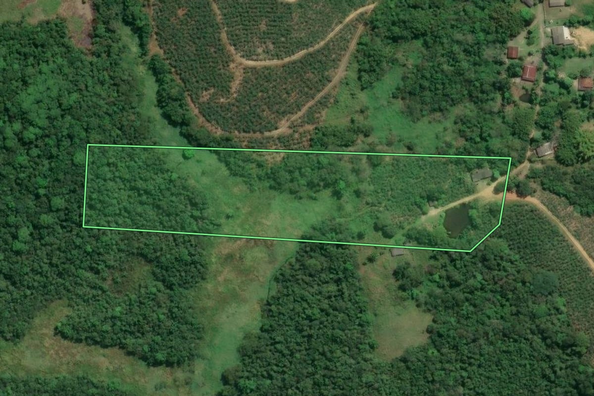 Imagem de satélite do imóvel rural em Jacupiranga (SP), com o contorno declarado no CAR desenhado por cima.