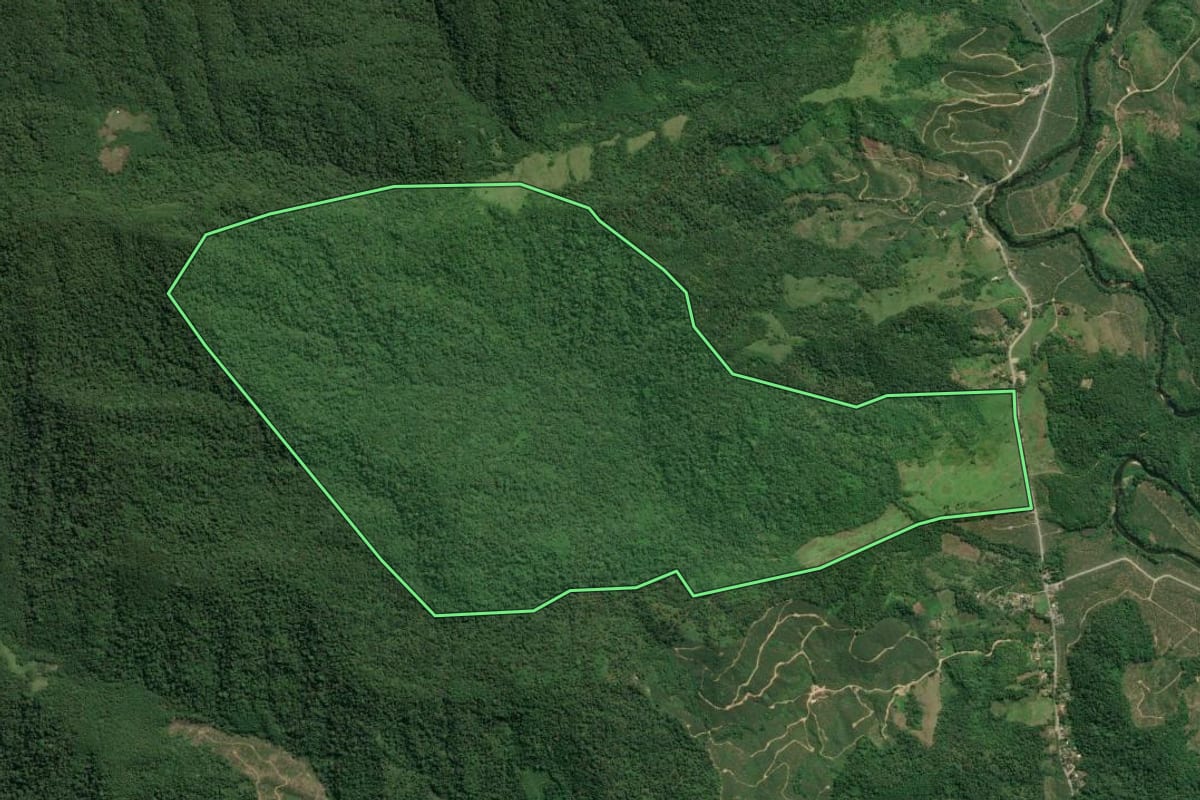 Imagem de satélite do imóvel rural em Jacupiranga (SP), com o contorno declarado no CAR desenhado por cima.