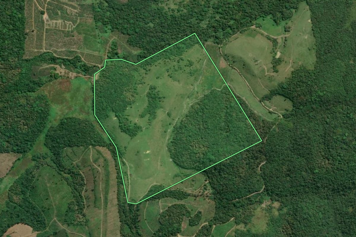 Imagem de satélite do imóvel rural em Jacupiranga (SP), com o contorno declarado no CAR desenhado por cima.