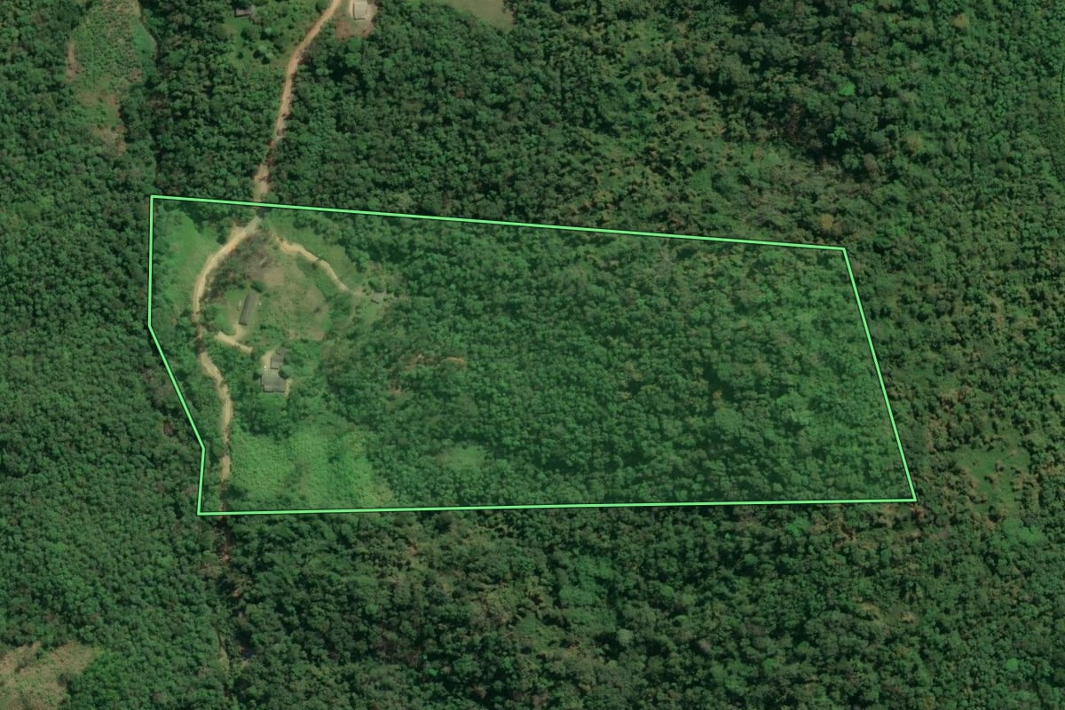 Imagem de satélite do imóvel rural em Jacupiranga (SP), com o contorno declarado no CAR desenhado por cima.