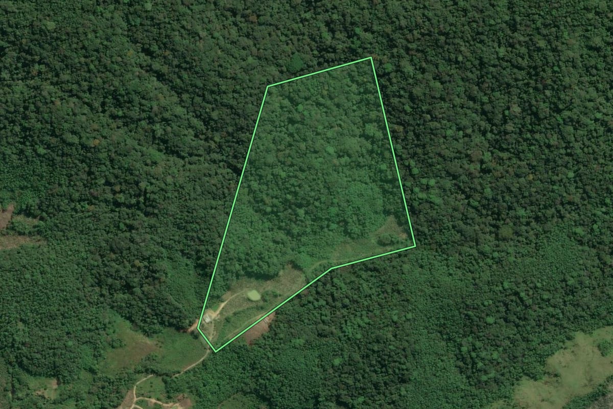 Imagem de satélite do imóvel rural em Jacupiranga (SP), com o contorno declarado no CAR desenhado por cima.