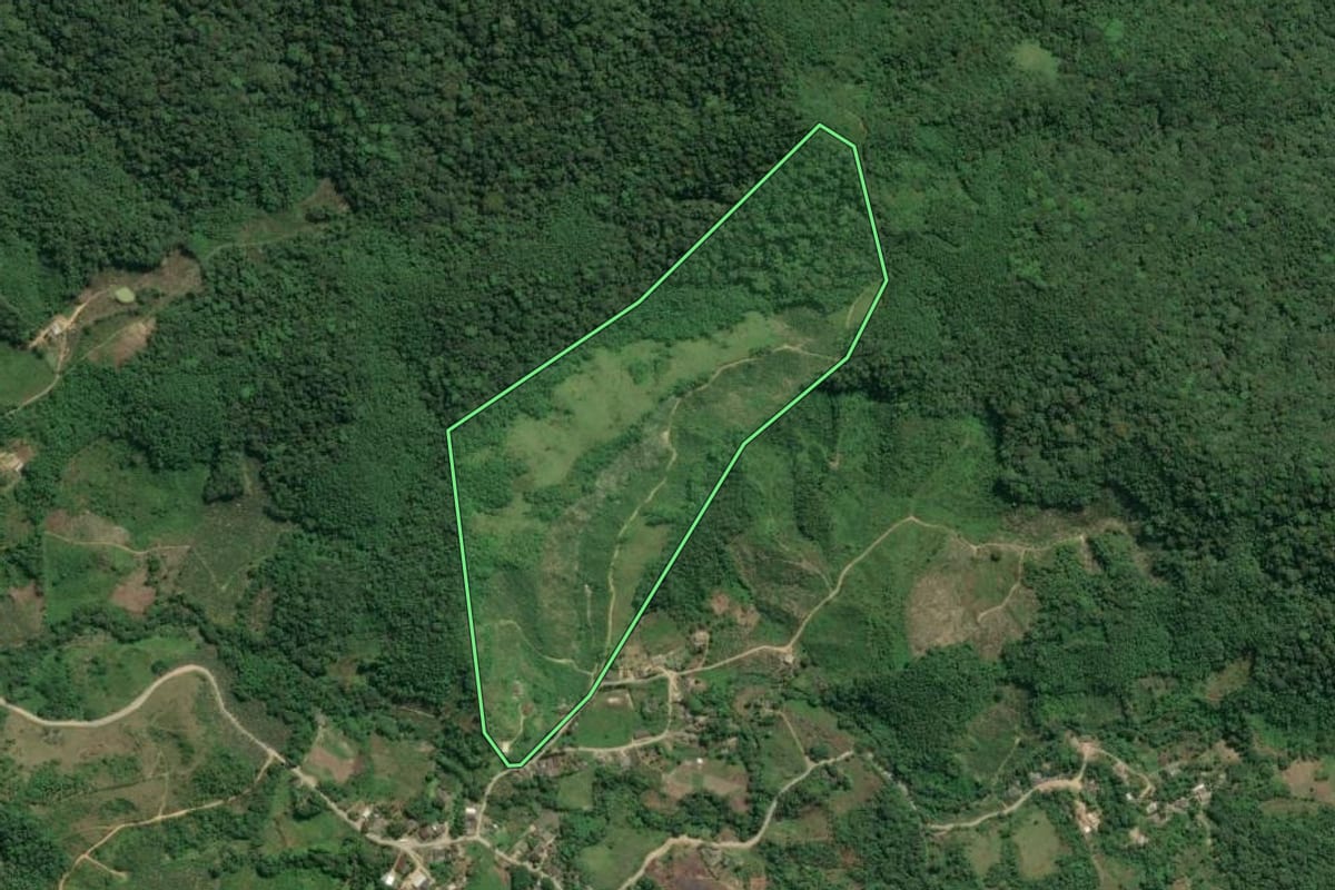 Imagem de satélite do imóvel rural em Jacupiranga (SP), com o contorno declarado no CAR desenhado por cima.
