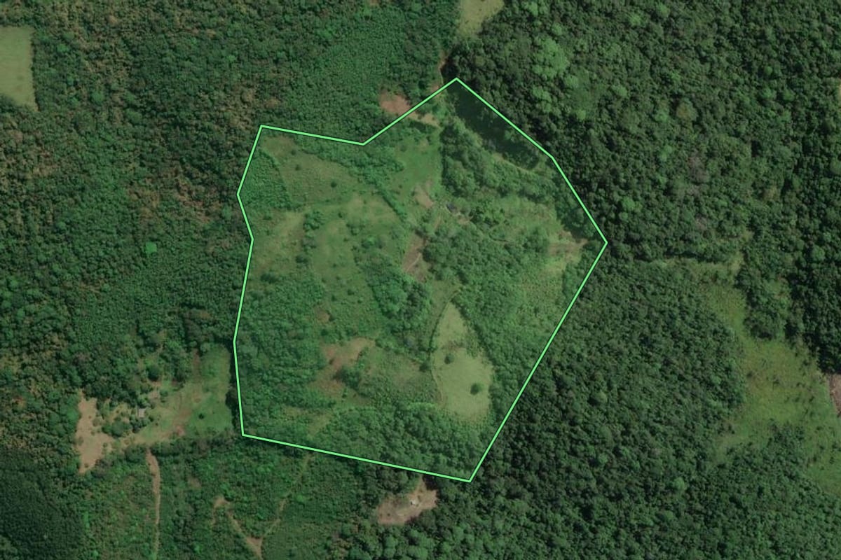 Imagem de satélite do imóvel rural em Jacupiranga (SP), com o contorno declarado no CAR desenhado por cima.