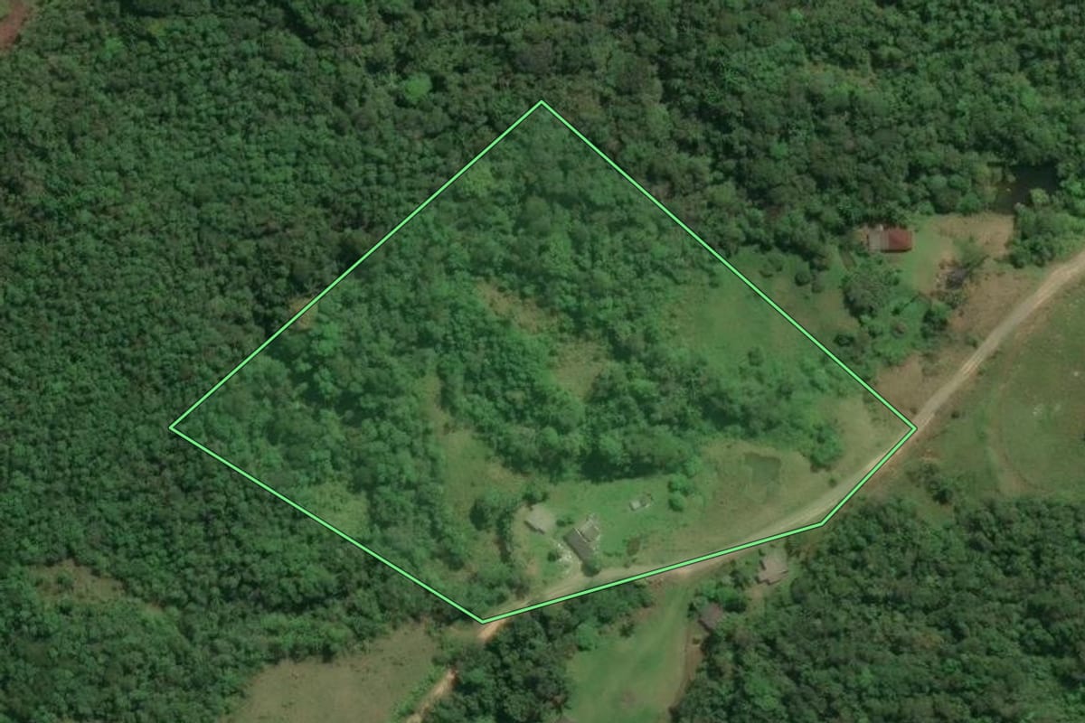 Imagem de satélite do imóvel rural em Jacupiranga (SP), com o contorno declarado no CAR desenhado por cima.