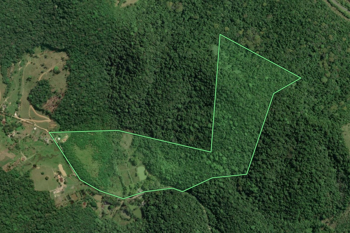 Imagem de satélite do imóvel rural em Jacupiranga (SP), com o contorno declarado no CAR desenhado por cima.