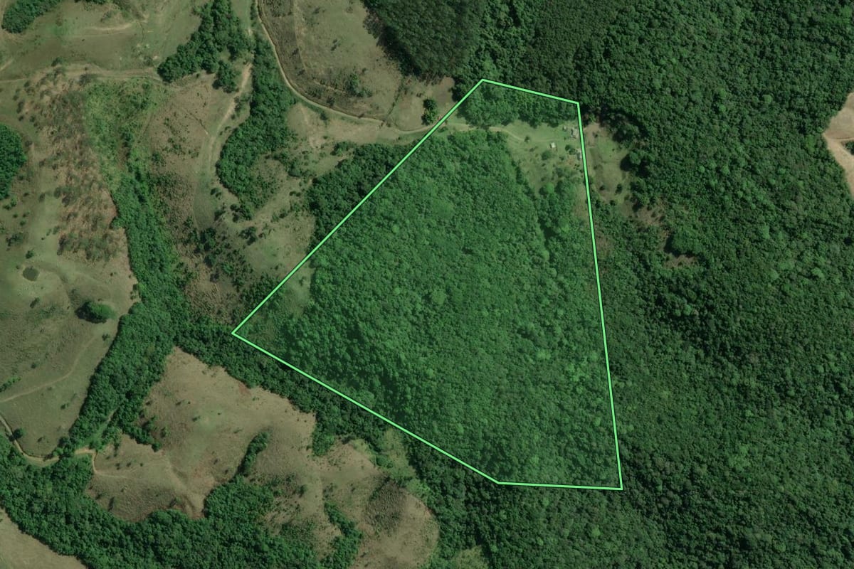 Imagem de satélite do imóvel rural em Jacupiranga (SP), com o contorno declarado no CAR desenhado por cima.