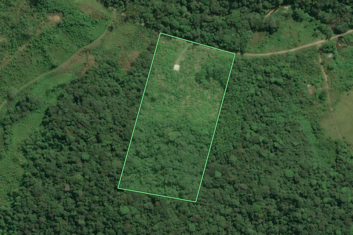 Imagem de satélite do imóvel rural em Jacupiranga (SP), com o contorno declarado no CAR desenhado por cima.
