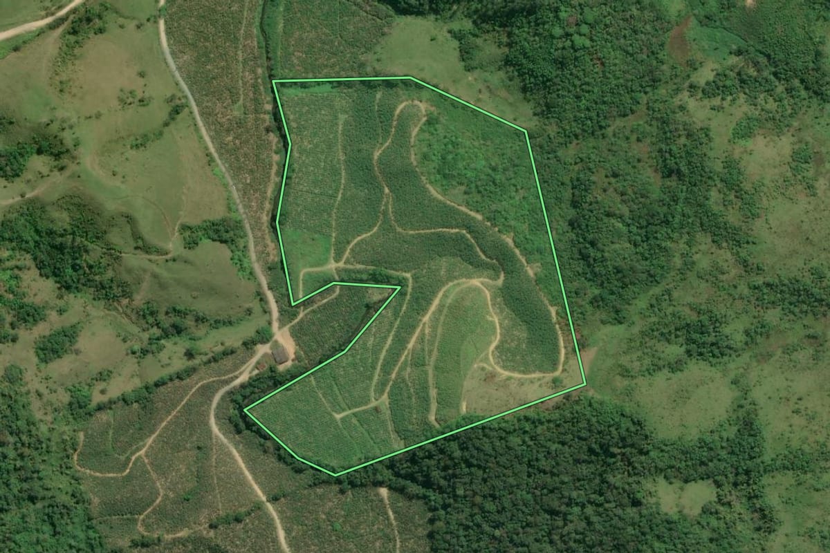 Imagem de satélite do imóvel rural em Jacupiranga (SP), com o contorno declarado no CAR desenhado por cima.