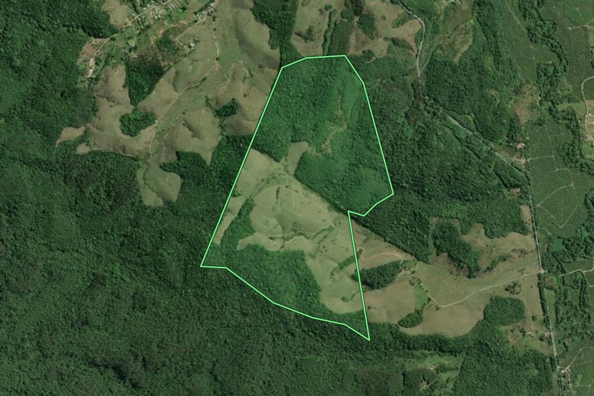 Imagem de satélite do imóvel rural em Jacupiranga (SP), com o contorno declarado no CAR desenhado por cima.