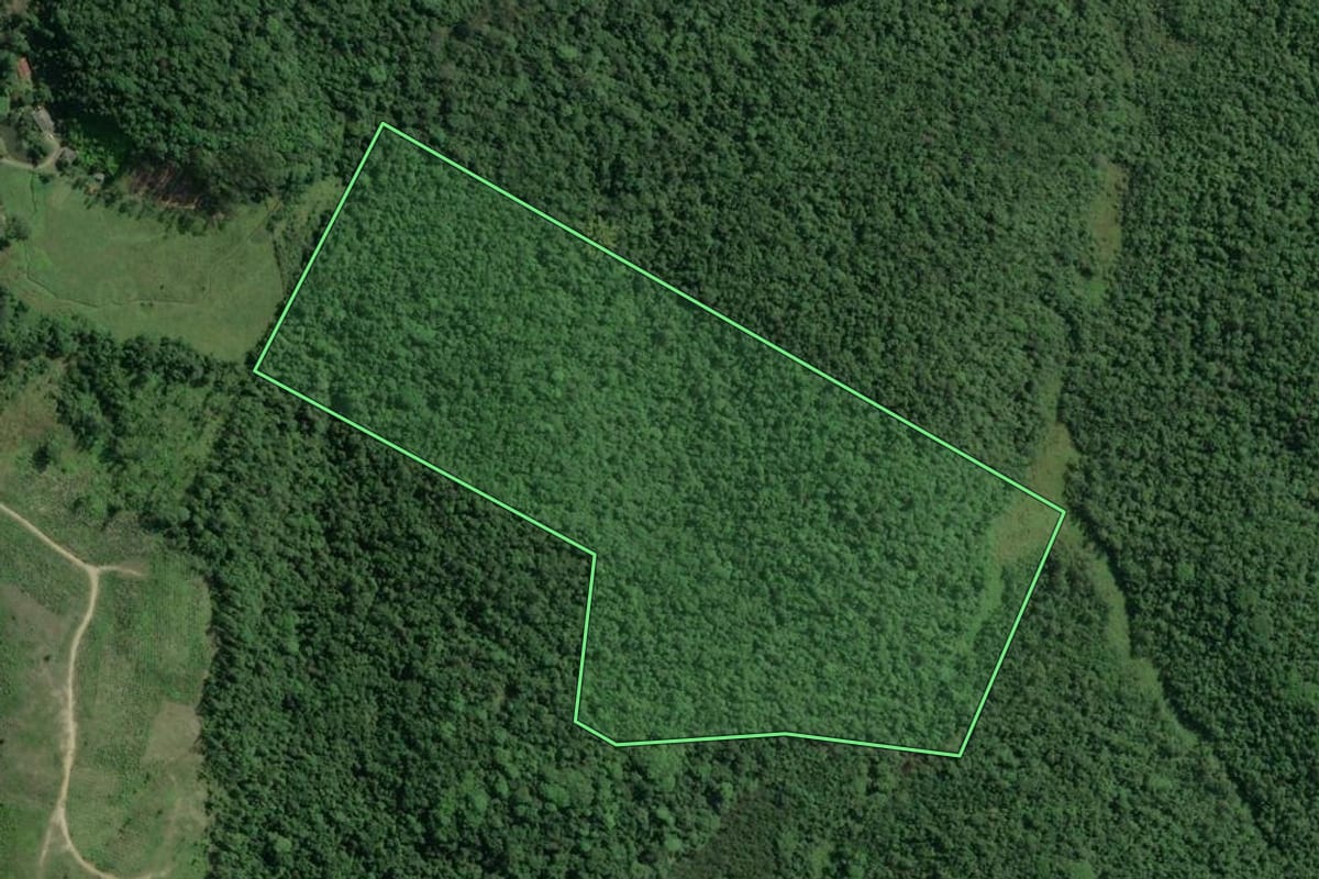 Imagem de satélite do imóvel rural em Jacupiranga (SP), com o contorno declarado no CAR desenhado por cima.