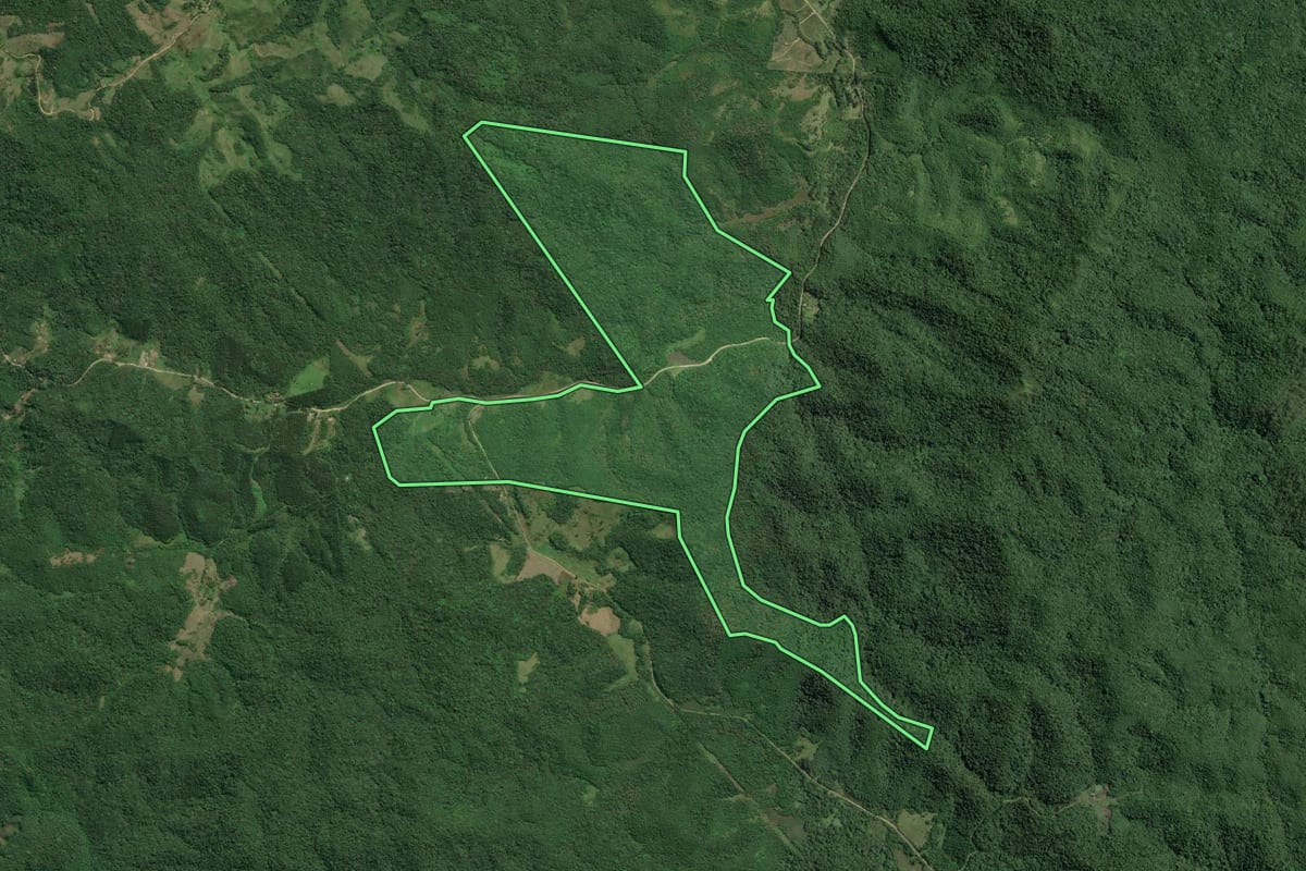 Imagem de satélite do imóvel rural em Jacupiranga (SP), com o contorno declarado no CAR desenhado por cima.
