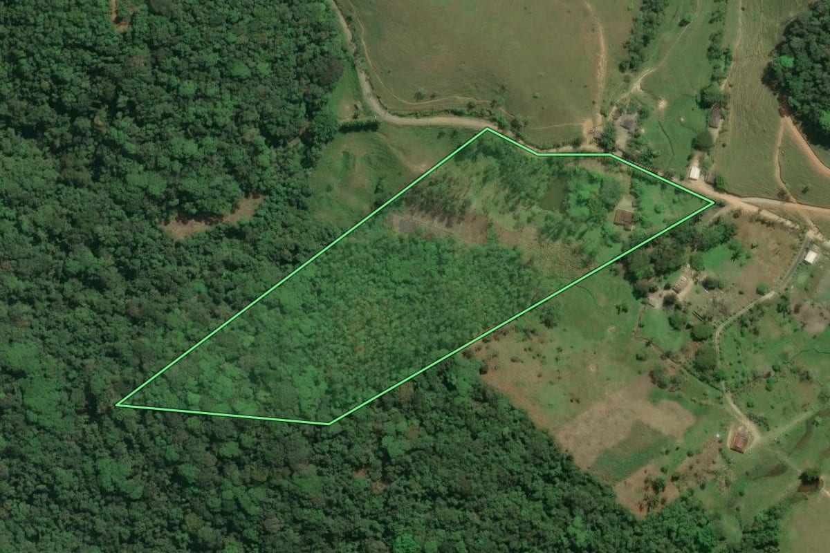 Imagem de satélite do imóvel rural em Jacupiranga (SP), com o contorno declarado no CAR desenhado por cima.