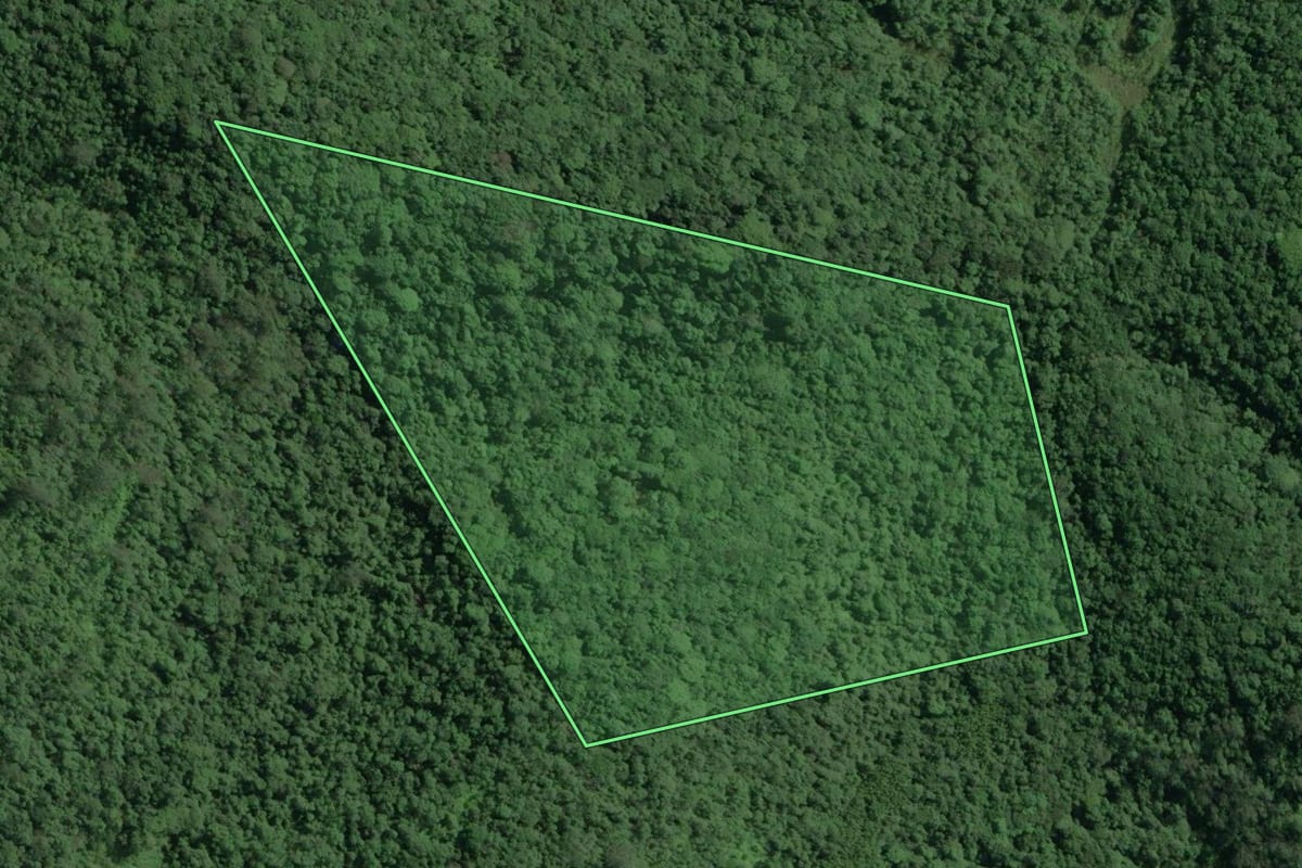 Imagem de satélite do imóvel rural em Jacupiranga (SP), com o contorno declarado no CAR desenhado por cima.