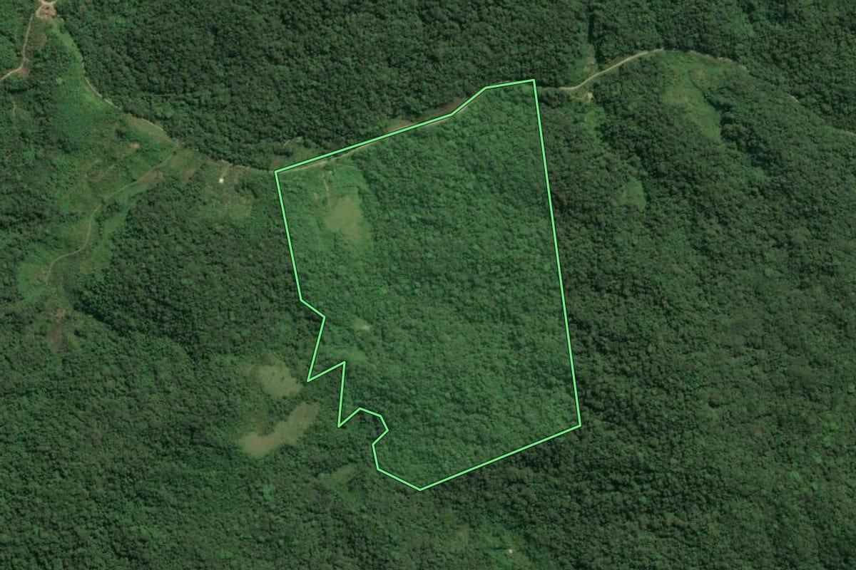 Imagem de satélite do imóvel rural em Jacupiranga (SP), com o contorno declarado no CAR desenhado por cima.