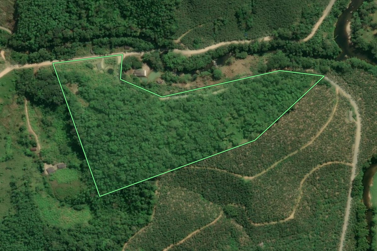 Imagem de satélite do imóvel rural em Jacupiranga (SP), com o contorno declarado no CAR desenhado por cima.