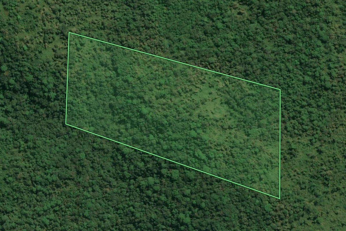 Imagem de satélite do imóvel rural em Jacupiranga (SP), com o contorno declarado no CAR desenhado por cima.
